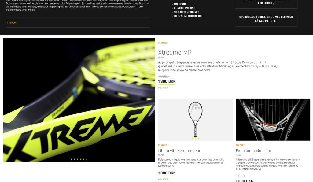 Beskrivelse af billedet