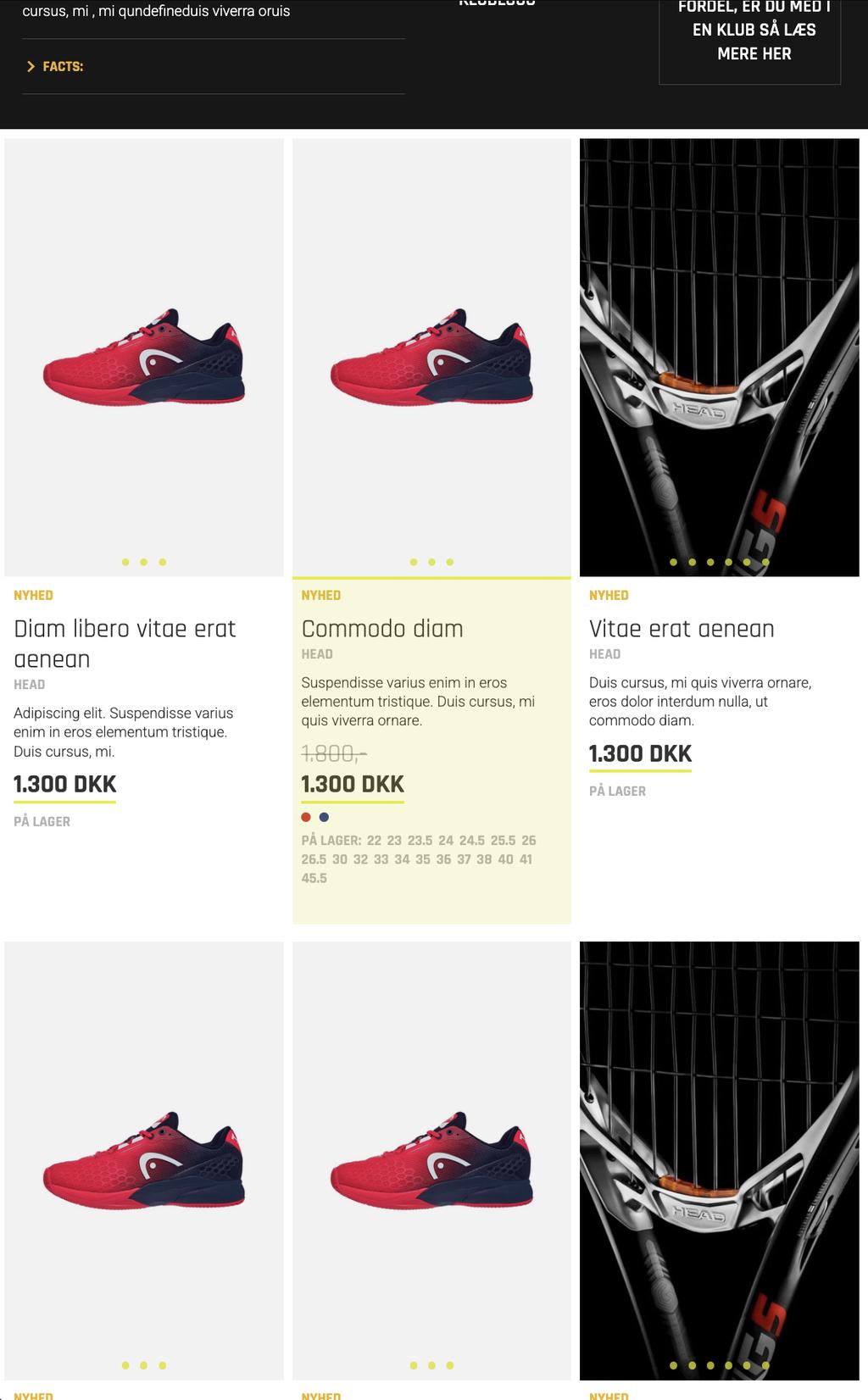 Beskrivelse af billedet